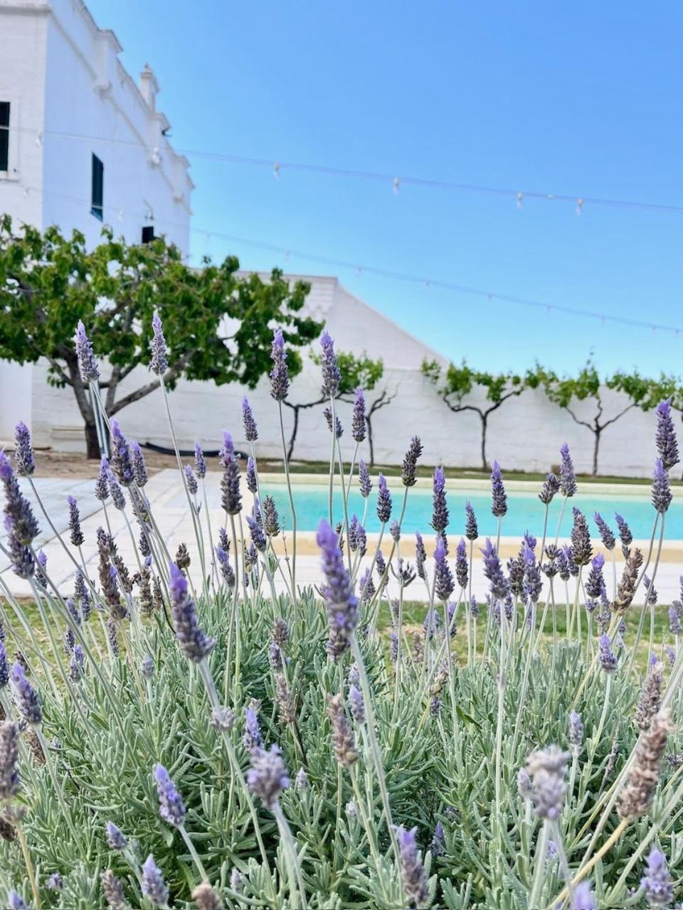Masseria Mammella Монополи Экстерьер фото