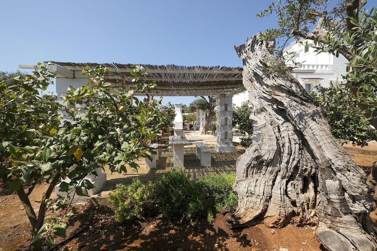 Masseria Mammella Монополи Экстерьер фото
